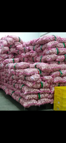 bawang putih
