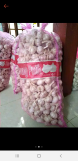Jual Bawang Putih