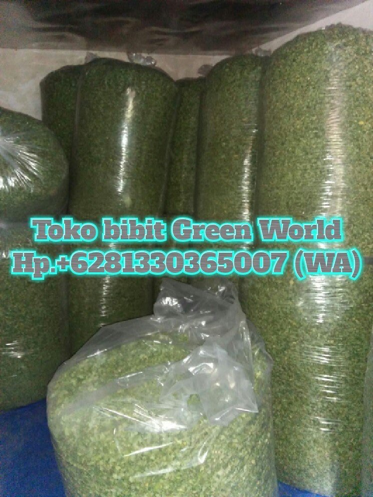Jual daun kelor,dll
