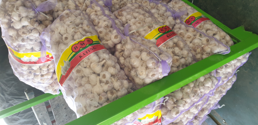 Bawang Putih Honan Berkualitas