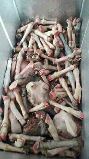 KEPALA DAN KAKI KAMBING