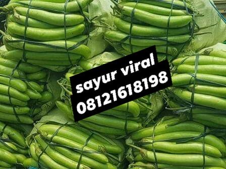sayur mayur