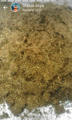 cocopeat