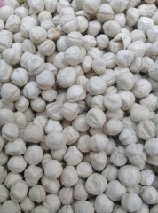 jual biji kelor