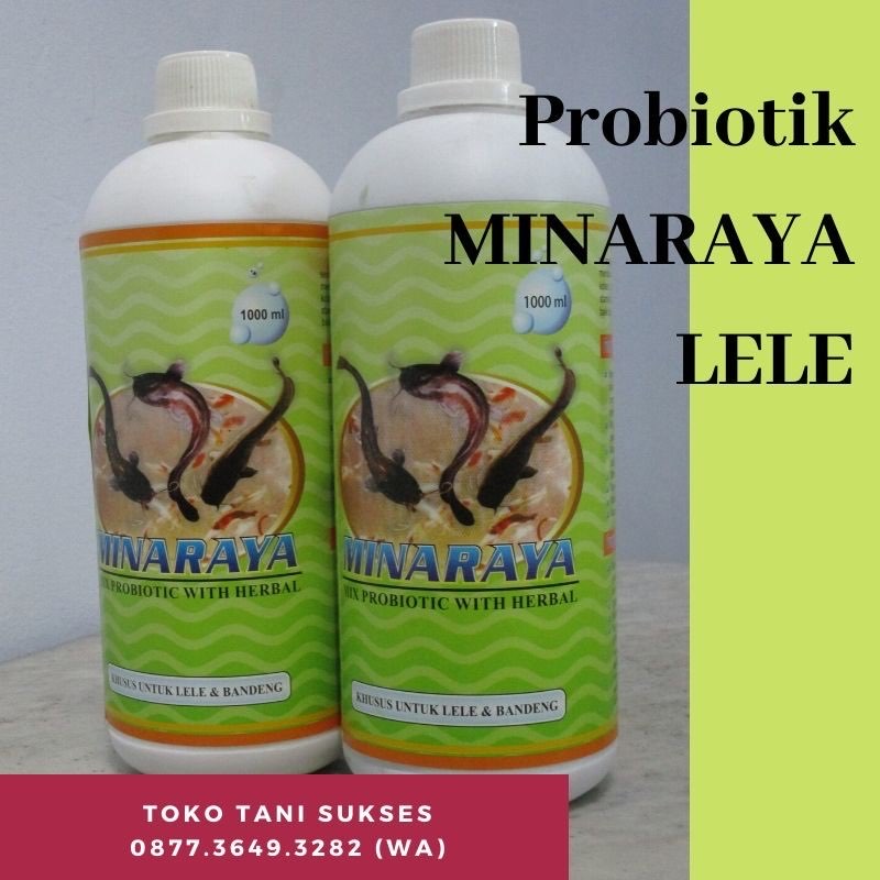 PROBIOTIK  PERIKANAN + HERBAL UNTUK LELE