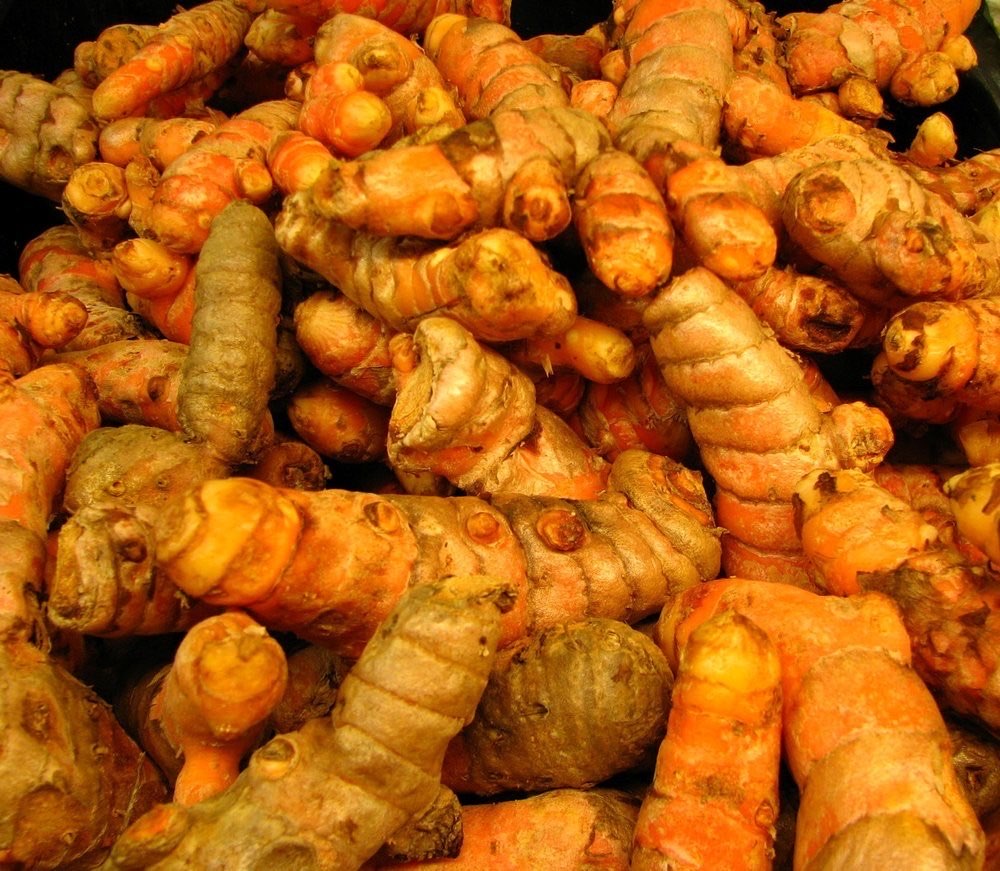 MENJUAL KUNYIT BASAH SKALA BESAR DAN MENENGAH