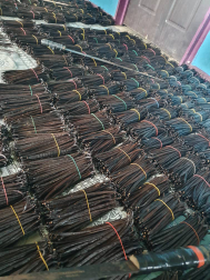 jual vanili kering makassar