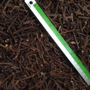 Akar Pancing (Cakar Elang)