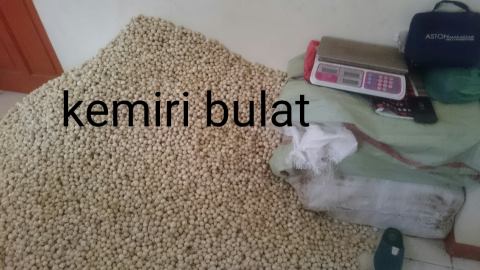 kemiri