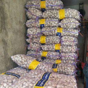 bawang putih murah