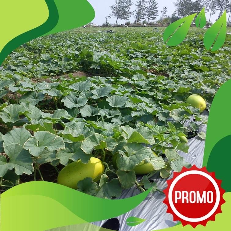 Mulsa Plastik Untuk Tambak dan Penutup Lahan Budidaya