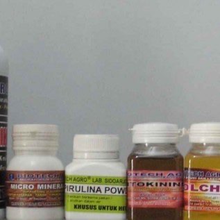 Hormon Tanaman Auksin, Sitokinin, Colchichine, 24D, Dll