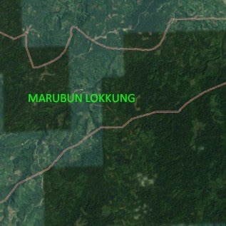 Kebun Sawit dan Karet Produktif ada Tanah Kosong