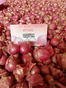 Bawang merah