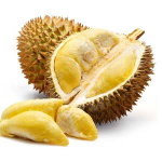 durian medan