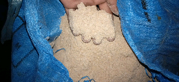 katul/dedak padi