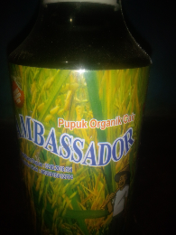 Poc Ambasador
