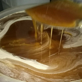 Madu Trigona