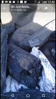 ARANG KAYU ULIN
