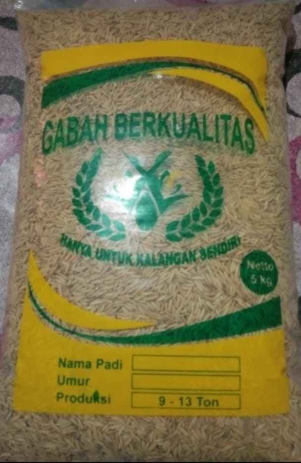 Benih Unggul Padi Cl220