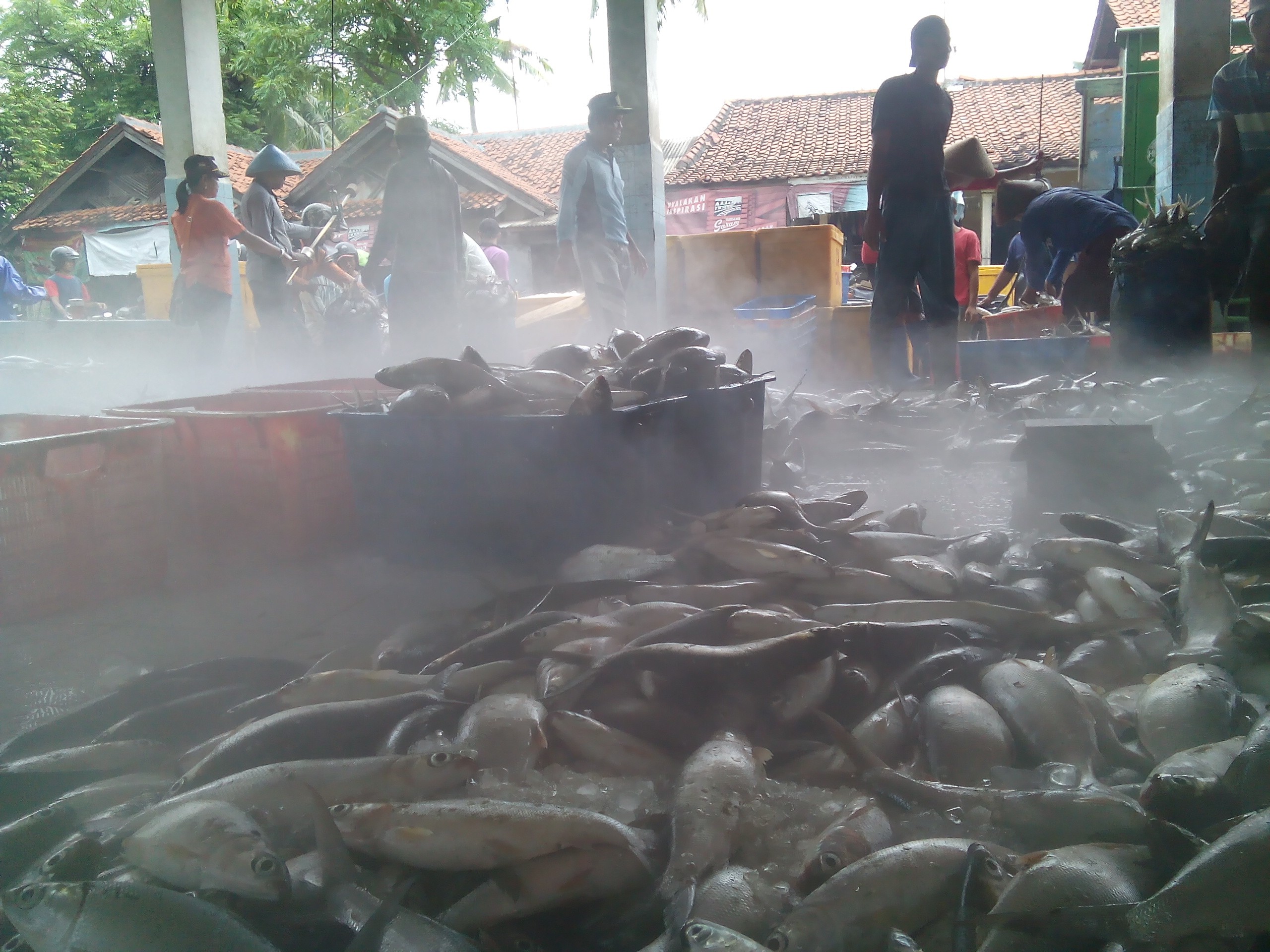 Siap menerima permintaan ikan bandeng dalam jumlah besar.