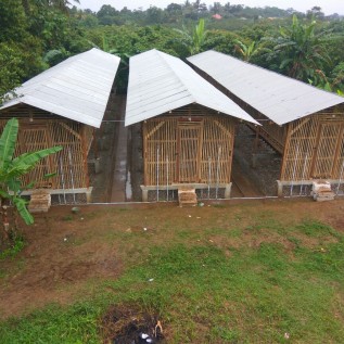 Kerjasama Investasi Ayam Petelur