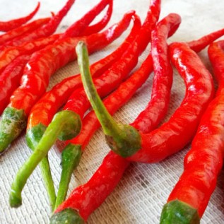 Cabe merah keriting fresh
