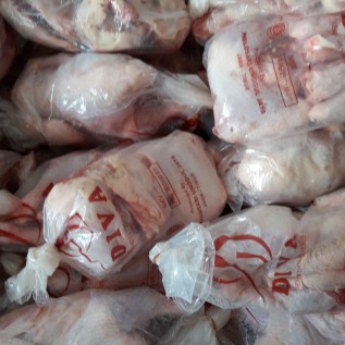 Butuh Mitra Ayam Sebagai Peternak Dan Pemotong, kami menerima hasil panennya