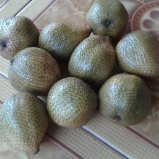 Jual salak pondoh, salak madu, salak gading