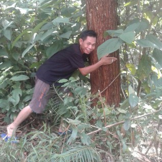 Mencari Investor