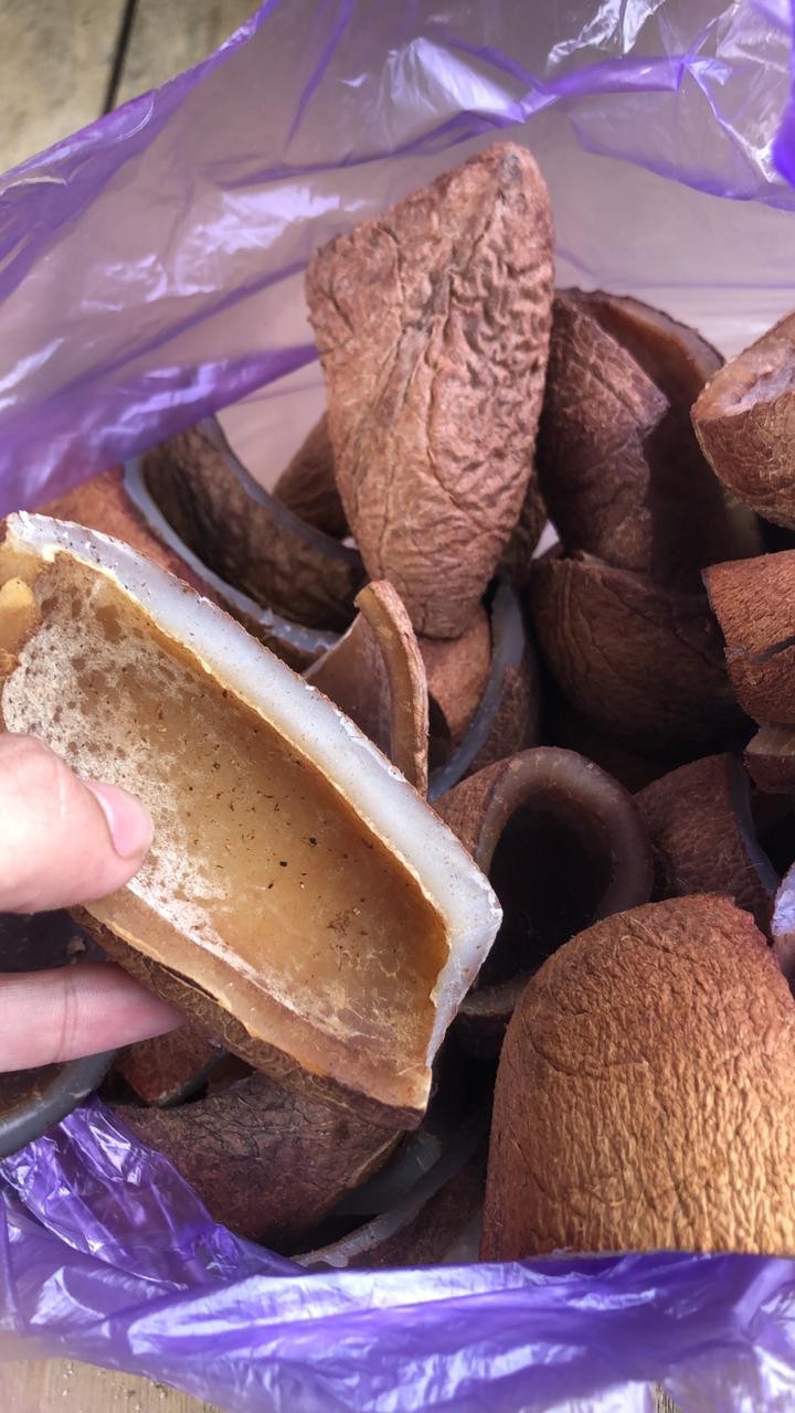 Kopra Asalan