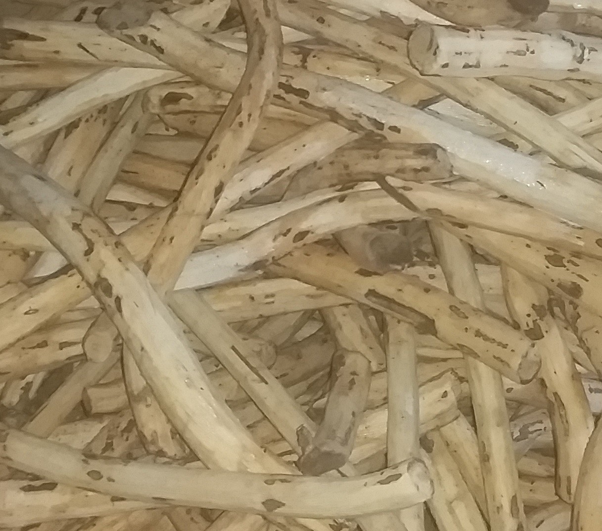Hasil Hutan
