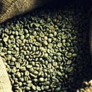 BELI KOPI ARABICA GAYO GREEN BEAN, PREMIUM, GRED A, GRED B,ARABICA TORAJA,JAWA