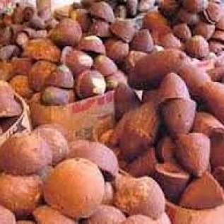 Gula kelapa asli