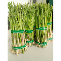 ASPARAGUS MURAH & FRESH
