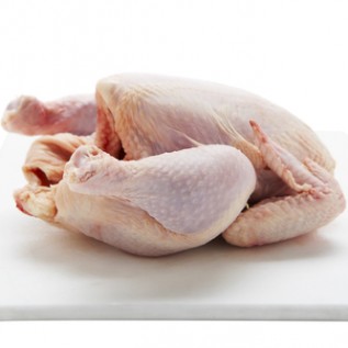 DI Cari Mitra Supplier Ayam Chicken Frozen Karkas
