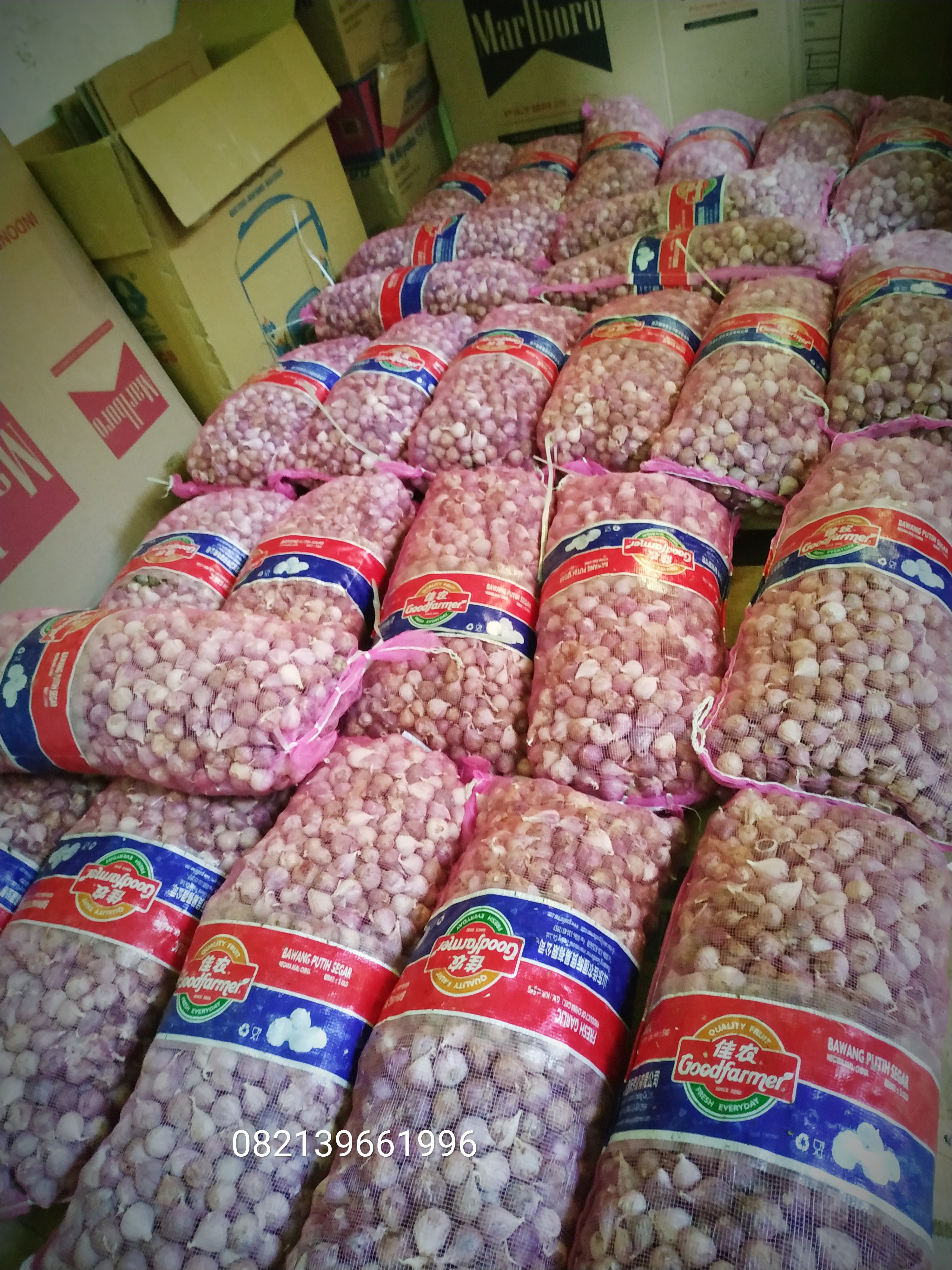 Mencari investor untuk kerjasama di bawang tunggal