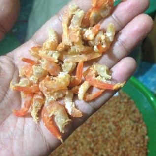 udang kering/ebi