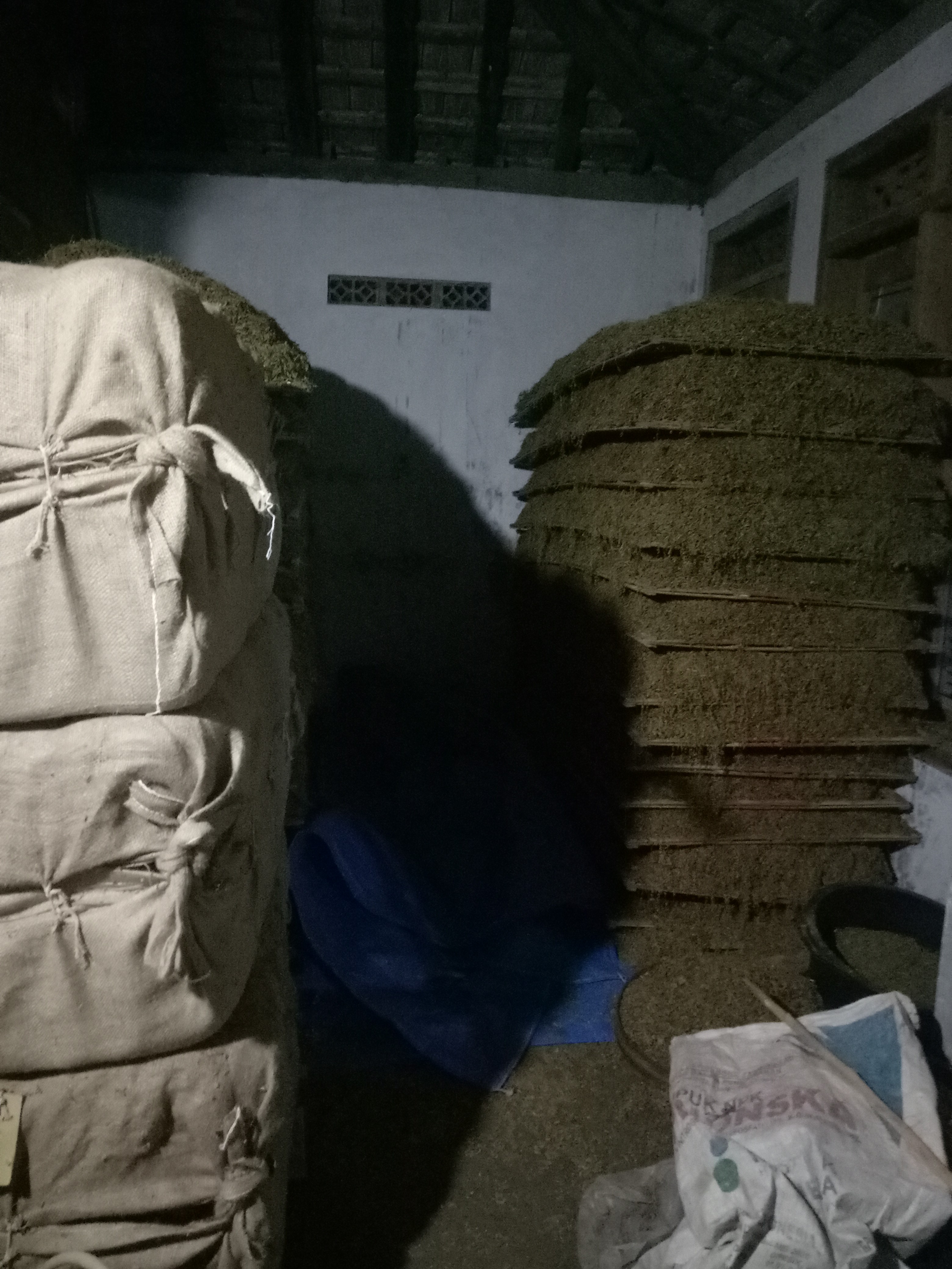 Jual tembakau