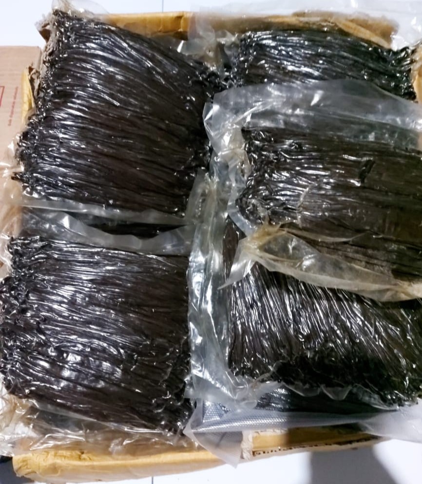 SIAP SUPLAI VANILI KERING PLANI & TAHITI MURAH BERKUALITAS