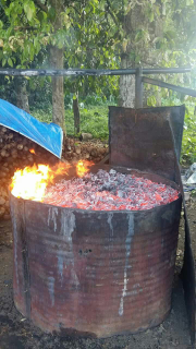 arang