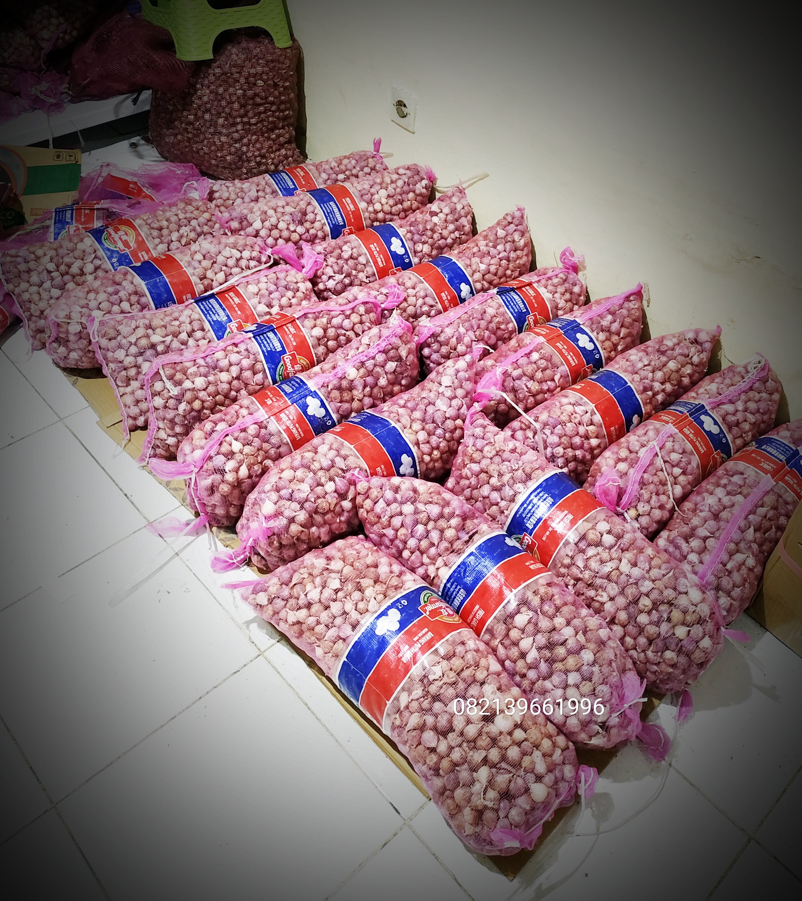 Mencari investor untuk kerjasama bawang tunggal