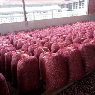 bawang merah