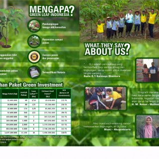Kerjasama Tanam Jabon, Sengon dan Jahe Gajah dengan Sistem Bagi Hasil