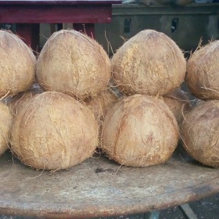 KERJASAMA KELAPA TUA LOKAL/EKSPOR