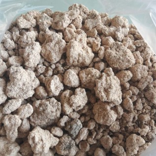 Ongok singkong