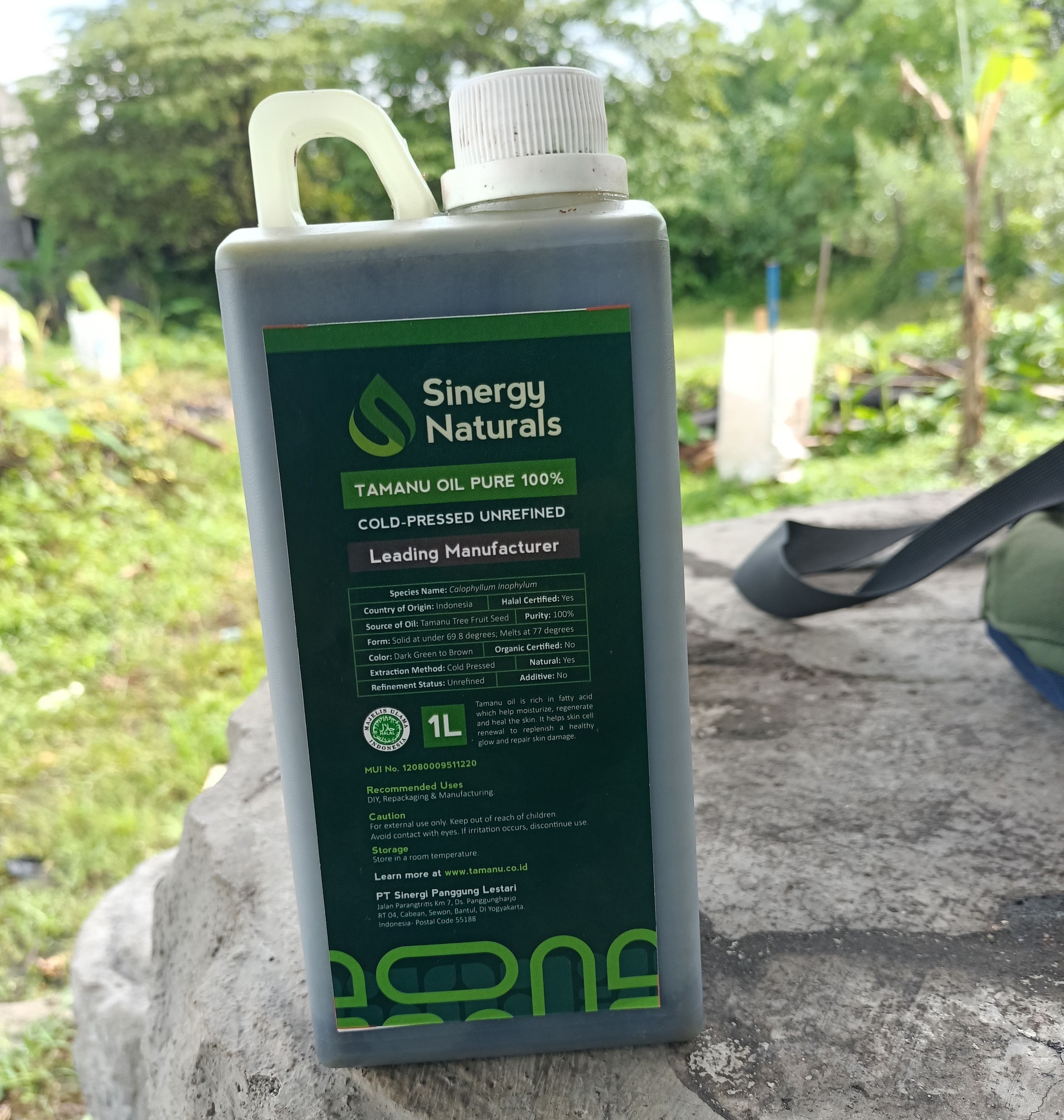 Tamanu oil