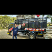 Dicari Supplier Log Kayu Sengon/Albasia Dan Jabon