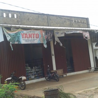 Mencari investor,distributor,suplyer,di bidang pertanian.