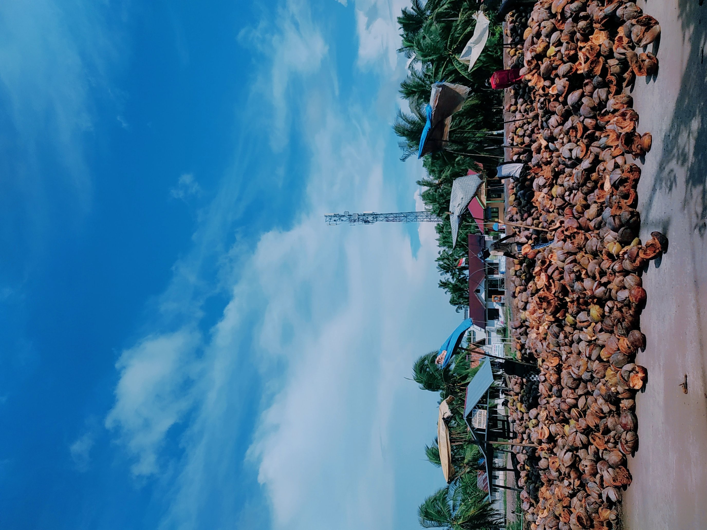 KELAPA MAKARTI, PALEMBANG